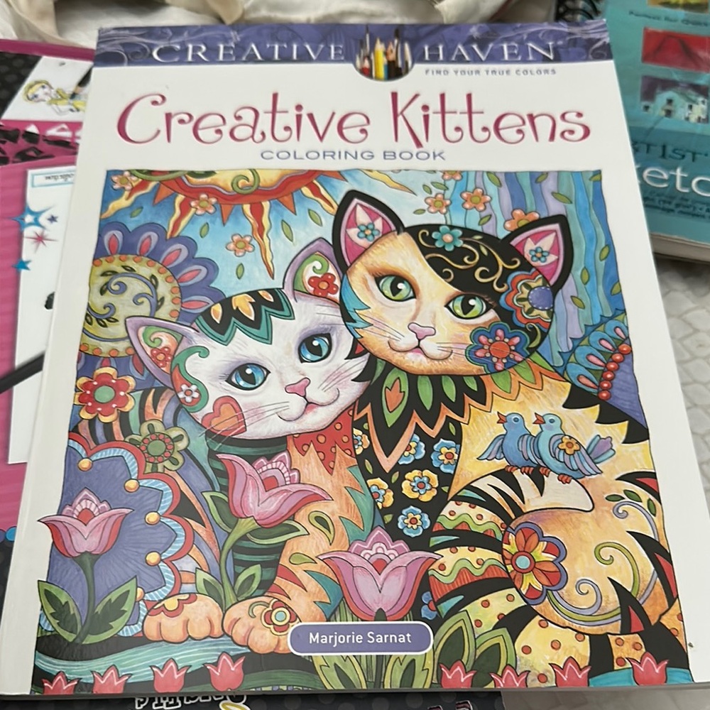 Color Street Creative Kittens Coloring Book